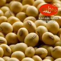 Soybean