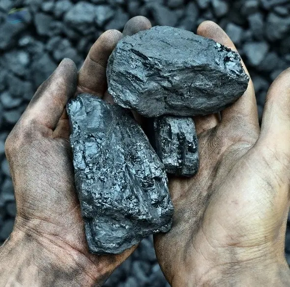 Indonesian Coal