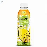 Fl Oz Cojo Cojo Mango Juice Drink