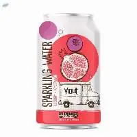 Canned Sparkling Water Blueberry