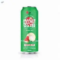 500ml VINUT Sparkling Pure Coconut Water