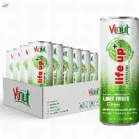 Sparkling Water Can Drink Lime & Ginger