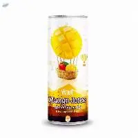 250ml Vinut Sparkling Mango Juice Water