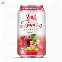 Sparkling Apple & Ginger No Added Sugar