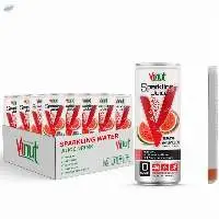 355ml Canned Soursop Juice Sparkling Water