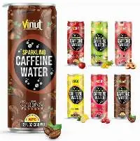 355ml Sparkling Fruit Juice Drinks