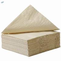 Disposable Paper Napkins