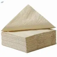 Disposable Paper Napkins