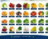 Premium Fresh & Frozen Fruits & Vegetables