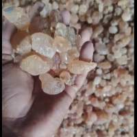 Pure Natural Sudanese Gum Arabic Hashab