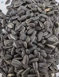 Sunflower Seeds