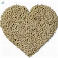 Green Lentils