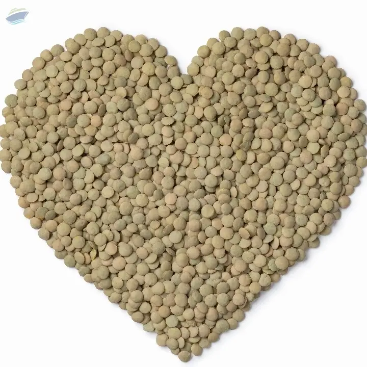 Green Lentils