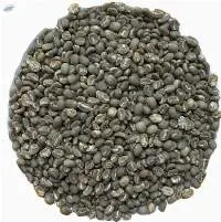 Arabica Green Coffee Beans