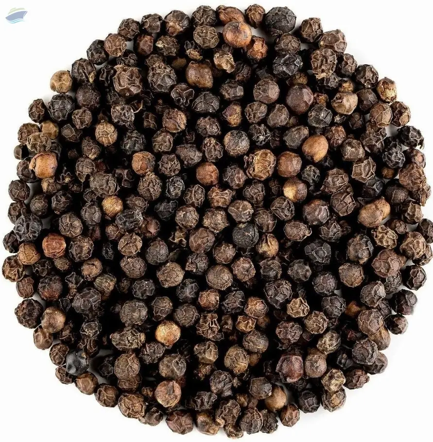 Black Pepper 550GL