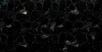 Black Obsidian