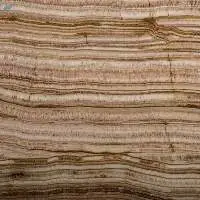 Almond Trver