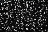 Coin Black