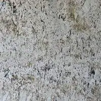Alaska White Gold