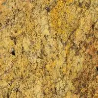Alaska Gold
