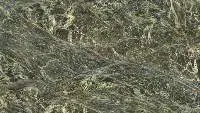Rain Forest Green