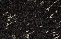 Fish Black