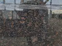Tan Brown Granite