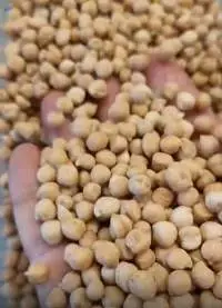 Russian Chickpeas
