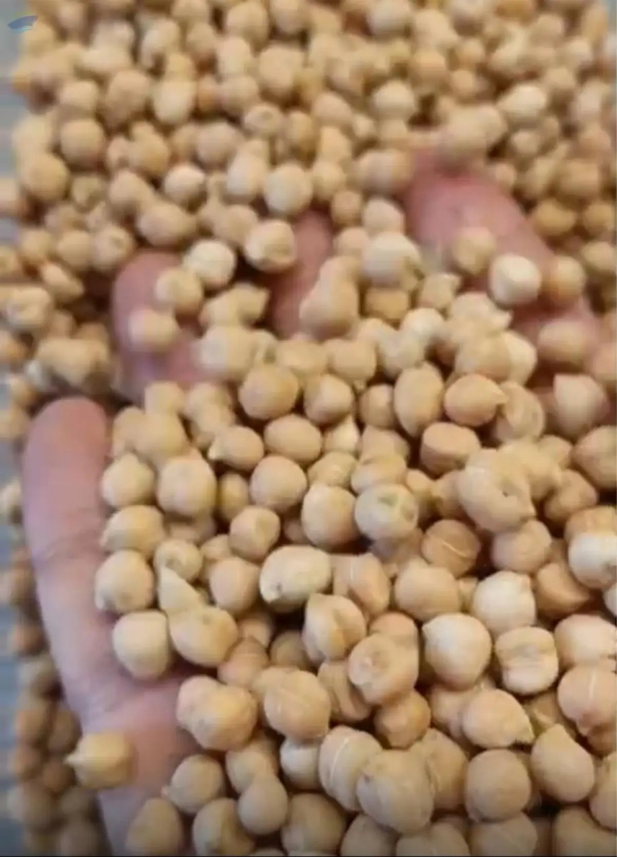 Russian Chickpeas