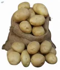 Kufri Badshah Potato
