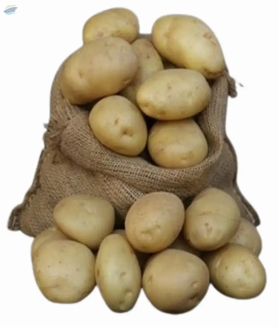 Kufri Badshah Potato