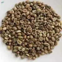 Robusta Grade 5 EK 150 Defect