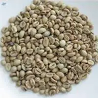 Robusta Grade 3 AP 1 Spec ELB