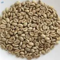 Robusta Grade 1 EK 15 Defect Java