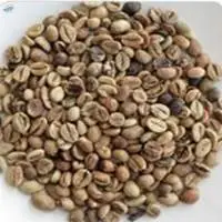 Robusta Grade 3 EK Spec ELB