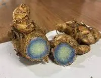 Black Ginger