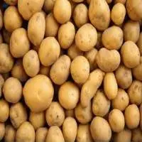 Fresh Potato