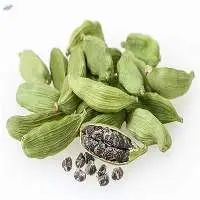 Green Cardamom