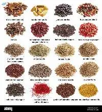 Spices Seeds
