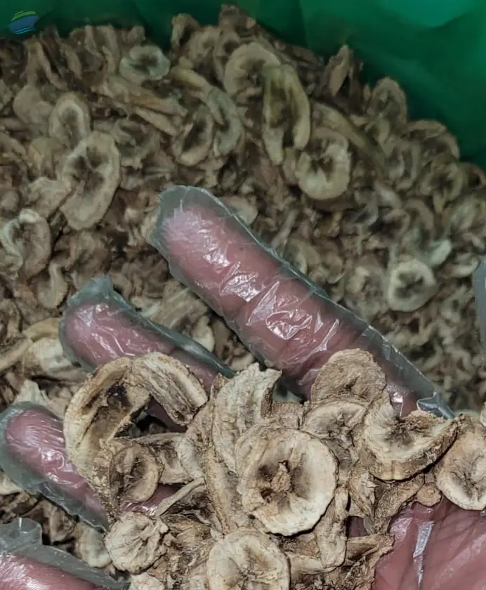 Dehydrated Fruits