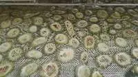 Dehydrated Root Vegetables