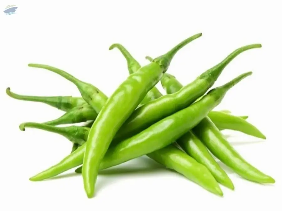 Fresh Green Chilli