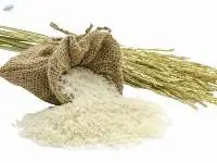Rice