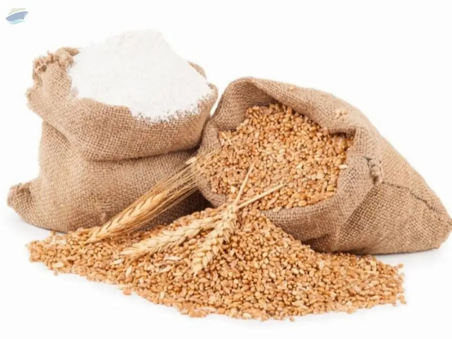 Wheat Flour