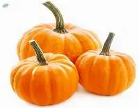 Red Pumpkin