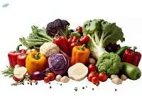 Fresh Vegetables