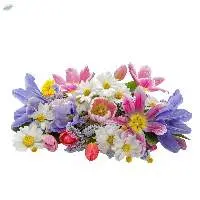 Fresh Flowers