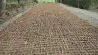 Eco-Friendly Cocomesh Mat