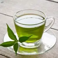 Natural Green Tea Leaves Bulk Supply