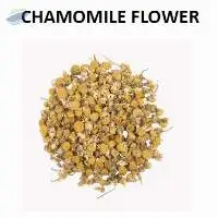 Chamomile Flower Premium Quality Dried Product 
